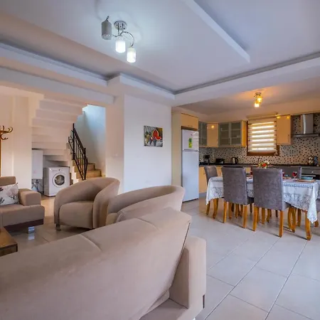 Infinity Opal 别墅